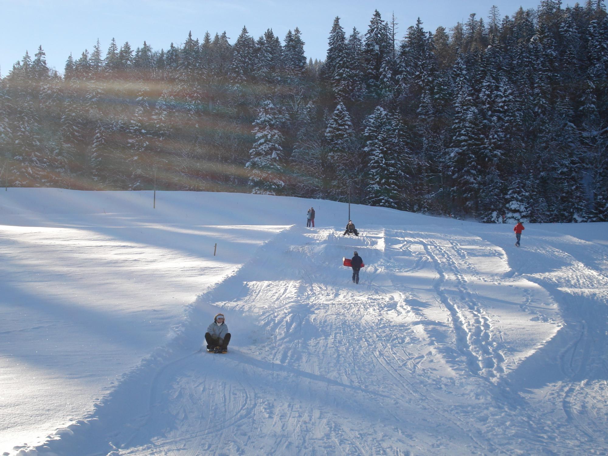 Piste de luge